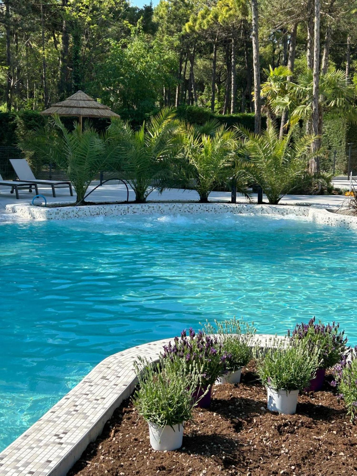 Dune Prestige & Chalets Μπιμπιόνε Εξωτερικό φωτογραφία